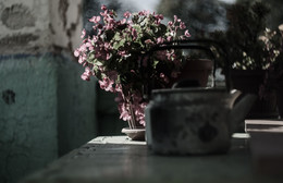 Blumen / ***