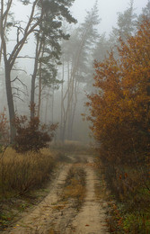 Straße zum Herbst / ***