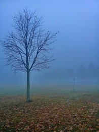 da hinter Nebeln / ***