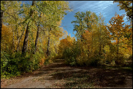 Herbst-Skizzen / ***