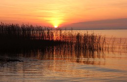 Novemberabend / ***