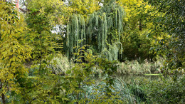 Wasserfall / ***