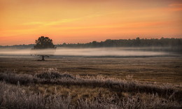 Morgennebel / ***