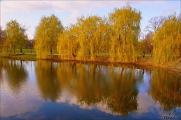 malen November / ***