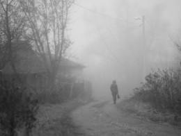 von Nebel / ***