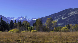 Hochmoor Rothenthurm / Herststimmung