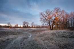 Die ersten Frost / ***