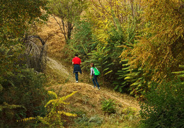 Road zu Fuß / ***