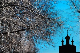 Nach Schneefall / ***