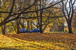 Herbst / ***