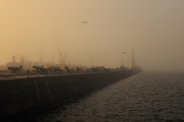 Nebel / ***