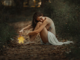 Summer gone / ***