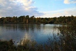 Old pond / ***