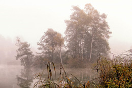 Nebel am Husemersee / ***