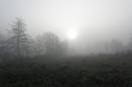 da hinter Nebeln / ***