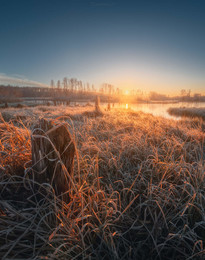 Ein frostiger Morgen / ***