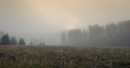 da hinter Nebeln / ***