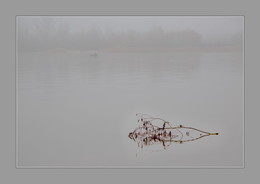 da hinter Nebeln / ***