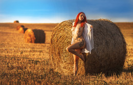 Summer sunset / ...