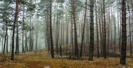 da hinter Nebeln / ***