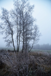 da hinter Nebeln / ***