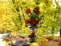 Herbst / ***