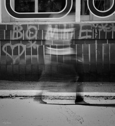 Foto / ***