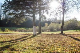 in der Sonne / ***