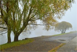 Fog 2 / ***