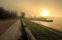 Morgen / ***