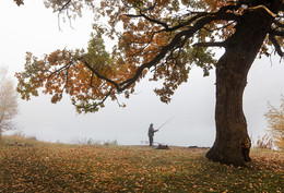 Catcher Nebel / ***