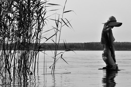 See / 29.07.2013
