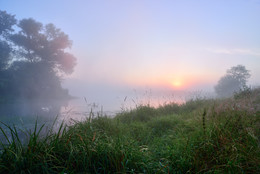 nebligen Morgengrauen / ***