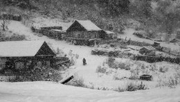 Winter / ***