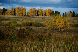 Landschaft Mittelstreifen / ***