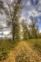 Herbst / ***