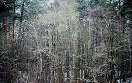 Annäherung / ***