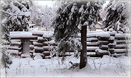 Winter / ***