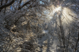 And Winter Came ... / ***