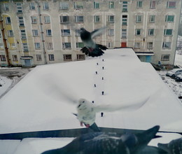 Urban Skizzen / ***