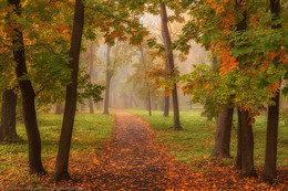 Im Herbst Park / ***