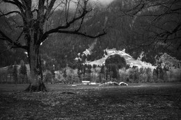Grau / ***