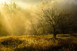 Meeting the sun ... / ***