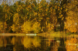 Autumn Blues / ***