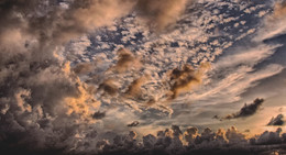 Wind des Wandels. / ***