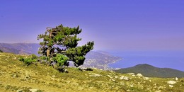 Wind des Wandels / ***