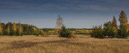Wind des Wandels / ***