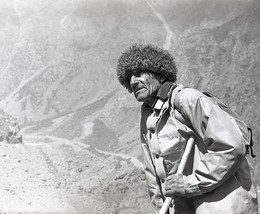 Mountain Shepherd / ***