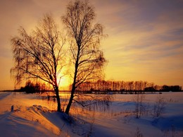 Abend / ***