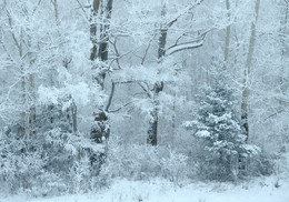 Dezember / ***